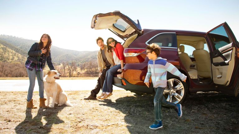 What Makes the Ideal Family Car