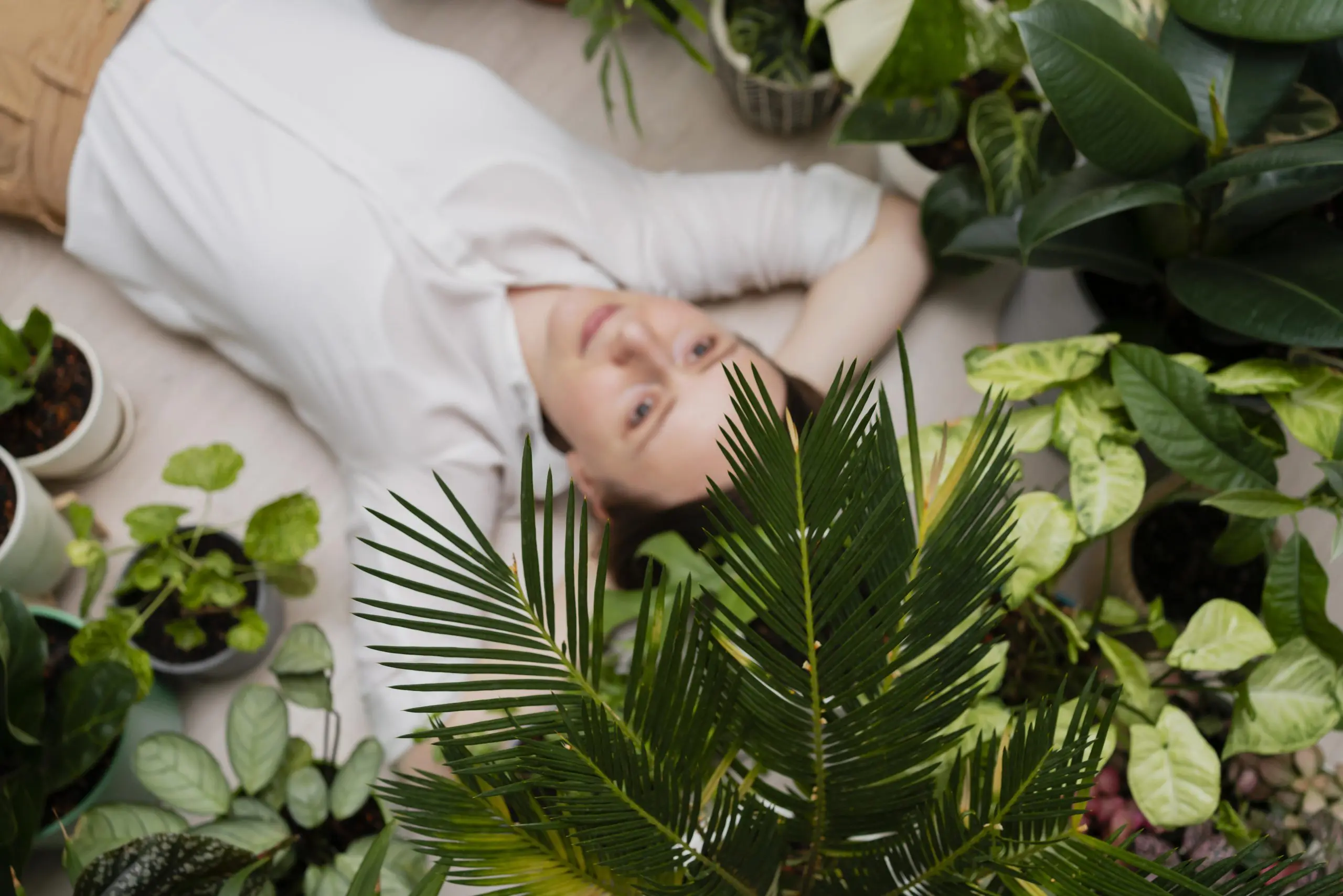 Why Manchester Locals Are Turning to Natural Wellness Alternatives